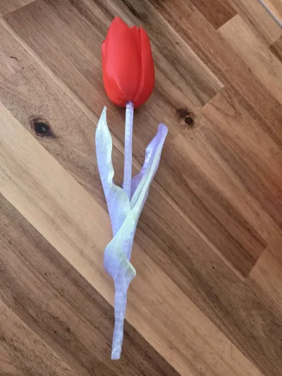 https://makerworld.bblmw.com/makerworld/comment/20260322/83798820/30686a5f6f4254d7.jpg