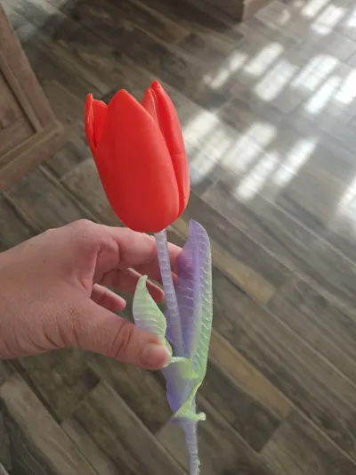 https://makerworld.bblmw.com/makerworld/comment/20260322/83798820/8732468f926844d9.jpg