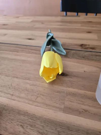 https://makerworld.bblmw.com/makerworld/comment/20260322/83798820/8dad9cc4cf8e4c1e.jpg