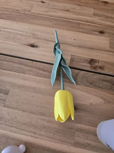 https://makerworld.bblmw.com/makerworld/comment/20260322/83798820/f7ec39e126ced400.jpg