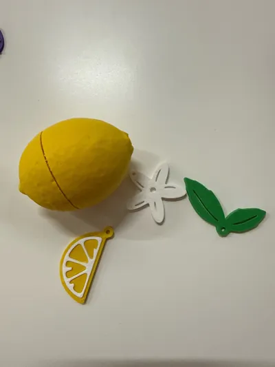 https://makerworld.bblmw.com/makerworld/comment/20260322/995089429/f6f51003c76b0e22.jpg