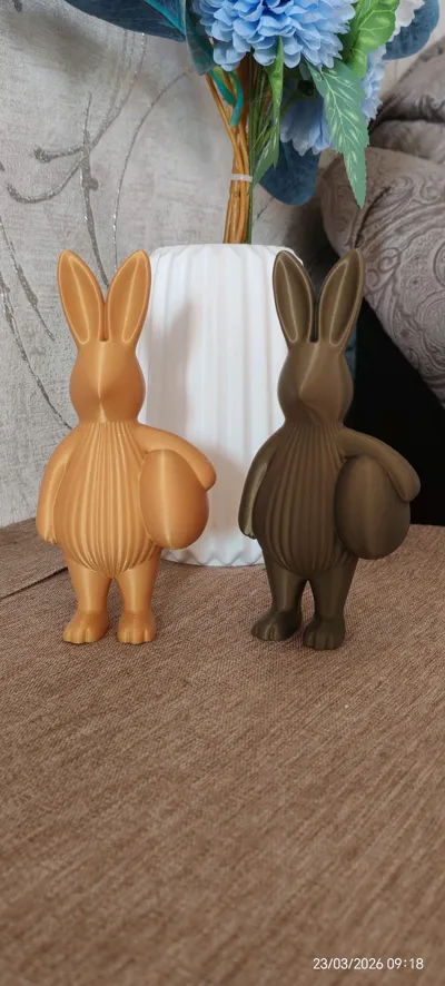 https://makerworld.bblmw.com/makerworld/comment/20260323/1092391999/76fbdd5eb72569cc.jpg