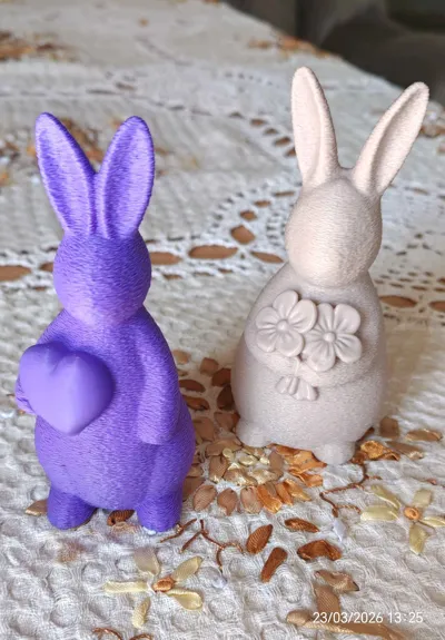 https://makerworld.bblmw.com/makerworld/comment/20260323/1092391999/fa368b2a7f4f8b3e.jpg