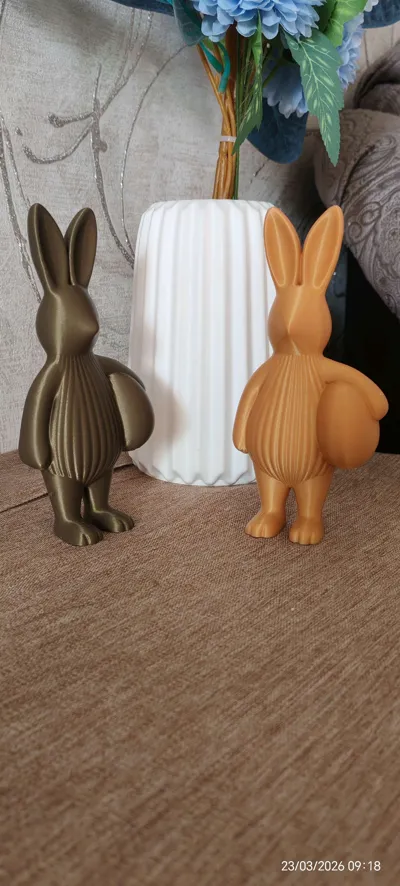 https://makerworld.bblmw.com/makerworld/comment/20260323/1092391999/ff61856ee57ac638.jpg