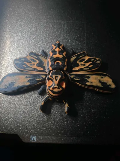 https://makerworld.bblmw.com/makerworld/comment/20260323/1469729188/6215d7c19e09137b.jpg