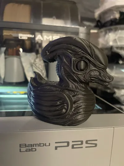 https://makerworld.bblmw.com/makerworld/comment/20260323/2009747268/7e4d0c0ec1b62c65.jpg