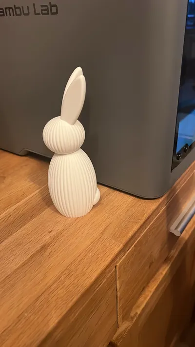 https://makerworld.bblmw.com/makerworld/comment/20260323/2731912110/d9f33e04772317fa.jpg