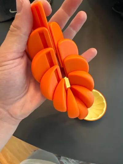 https://makerworld.bblmw.com/makerworld/comment/20260323/2808515018/b3f57b0b7cb6c2a8.jpg