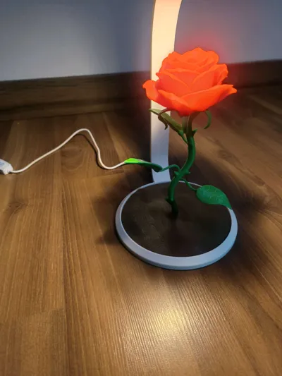 https://makerworld.bblmw.com/makerworld/comment/20260323/2843913509/db618de335a9bdf9.jpg