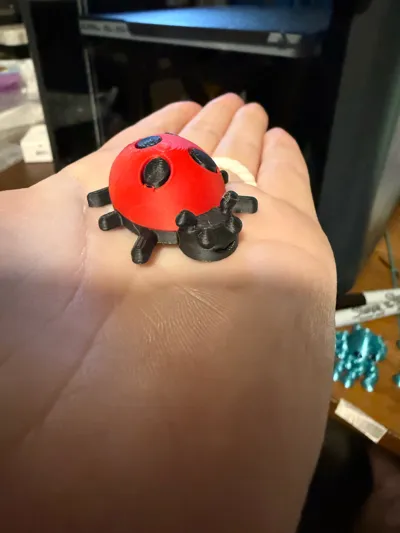 https://makerworld.bblmw.com/makerworld/comment/20260323/3234499428/81d95c8c613dd34e.jpg