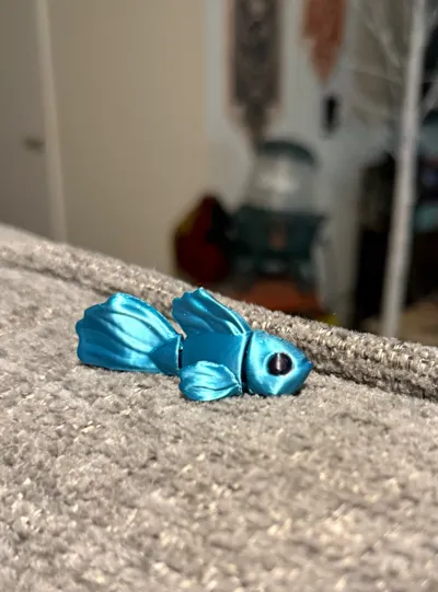https://makerworld.bblmw.com/makerworld/comment/20260323/3234499428/e447c3812efe5b0c.jpg