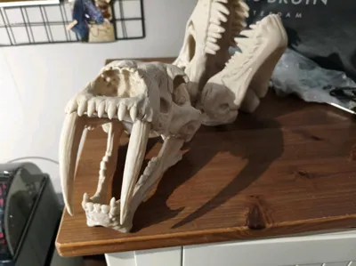https://makerworld.bblmw.com/makerworld/comment/20260323/3578214252/37f905c706fabfb4.jpg