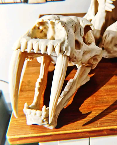 https://makerworld.bblmw.com/makerworld/comment/20260323/3578214252/38feafb63158024a.jpg
