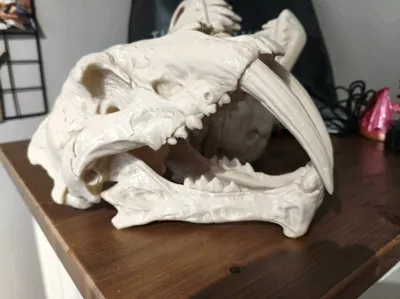 https://makerworld.bblmw.com/makerworld/comment/20260323/3578214252/f4ac542834d0a5f9.jpg