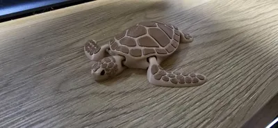 https://makerworld.bblmw.com/makerworld/comment/20260323/3661090380/56232e585d634d4d.jpg