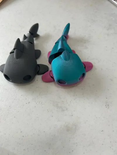 https://makerworld.bblmw.com/makerworld/comment/20260323/3663842163/e476730968dda34a.jpg