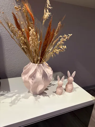 https://makerworld.bblmw.com/makerworld/comment/20260323/3825213562/d95024fdfddde15d.jpg