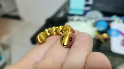https://makerworld.bblmw.com/makerworld/comment/20260323/4169462162/283eaf6ae6dfe021.jpg
