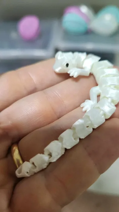 https://makerworld.bblmw.com/makerworld/comment/20260323/4169462162/d7e4578f221cb963.jpg