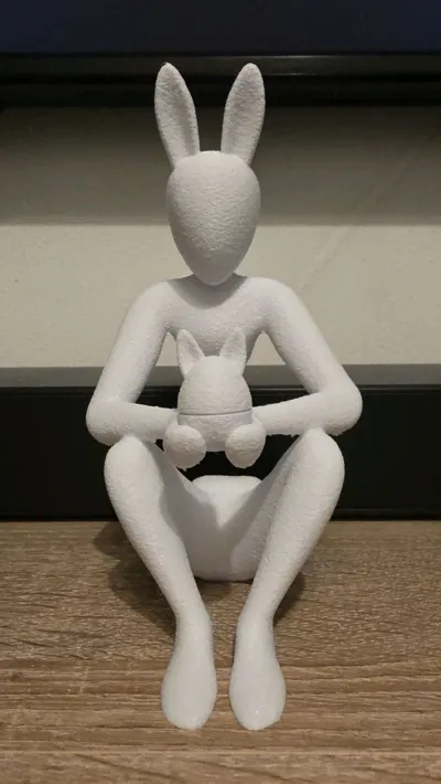 https://makerworld.bblmw.com/makerworld/comment/20260323/913100677/302b77662eee32fe.jpg