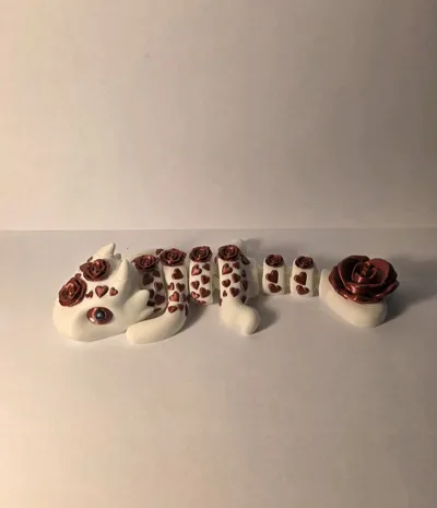 https://makerworld.bblmw.com/makerworld/comment/20260324/1139015190/aec01f2cad034d79.jpg
