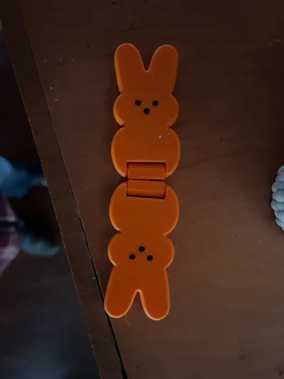 https://makerworld.bblmw.com/makerworld/comment/20260324/1252233740/acb648d226e5e38f.jpg