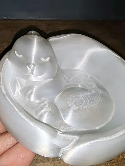 https://makerworld.bblmw.com/makerworld/comment/20260324/1376024990/3b762b2469693205.jpg