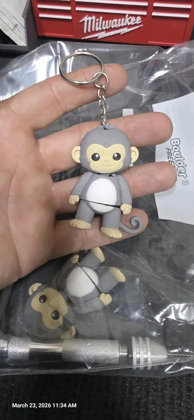 https://makerworld.bblmw.com/makerworld/comment/20260324/1451850986/c68cb7978d08cf01.jpg