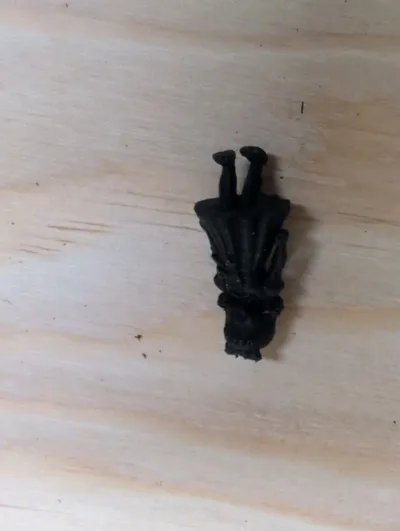 https://makerworld.bblmw.com/makerworld/comment/20260324/150349758/63e7d22b25c47c7f.jpg