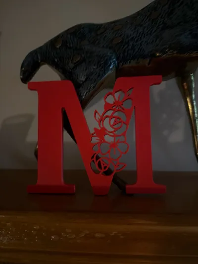 https://makerworld.bblmw.com/makerworld/comment/20260324/169481918/43d6e767cd326c0c.jpg