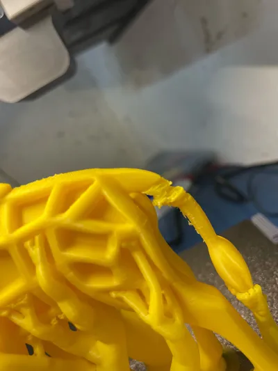 https://makerworld.bblmw.com/makerworld/comment/20260324/2085244616/7fce152b510fbef2.jpg