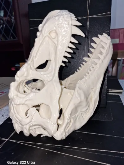 https://makerworld.bblmw.com/makerworld/comment/20260324/2434838628/1a46701fb892874b.jpg