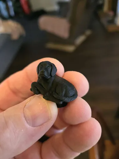 https://makerworld.bblmw.com/makerworld/comment/20260324/3439699255/54b0ee6b3dc25dfa.jpg
