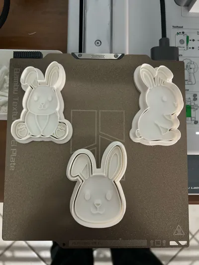 https://makerworld.bblmw.com/makerworld/comment/20260324/3598606820/81fef707ba7437b5.jpg