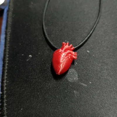 https://makerworld.bblmw.com/makerworld/comment/20260324/3866073894/7aaa8b71fe6e8e24.jpg