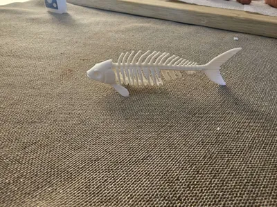 https://makerworld.bblmw.com/makerworld/comment/20260324/474022404/e1481b994315ae9c.jpg
