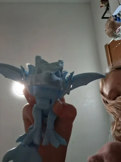 https://makerworld.bblmw.com/makerworld/comment/20260324/496713578/4c95bf199b7f97bc.jpg