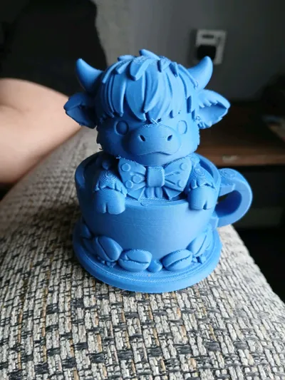 https://makerworld.bblmw.com/makerworld/comment/20260324/801704750/f75668d93dce5f2b.jpg
