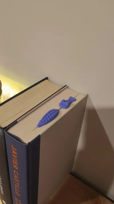 https://makerworld.bblmw.com/makerworld/comment/20260324/964265772/6e43805a973d7cd6.jpeg
