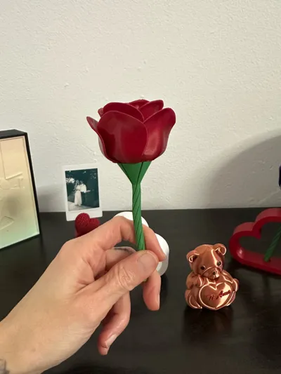 https://makerworld.bblmw.com/makerworld/comment/20260325/1086990917/100fee36a0555603.jpg