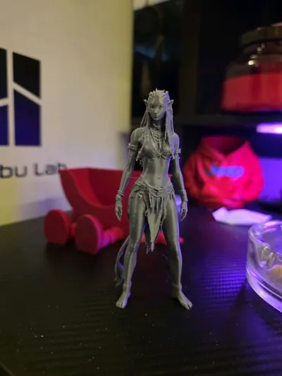 https://makerworld.bblmw.com/makerworld/comment/20260325/1414588473/28b23071eea4cad1.jpg