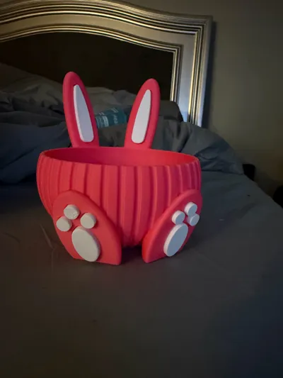 https://makerworld.bblmw.com/makerworld/comment/20260325/1508748896/a20c70728dbbed81.jpg