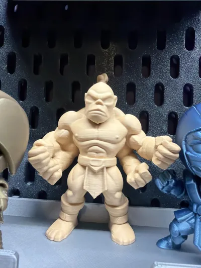 https://makerworld.bblmw.com/makerworld/comment/20260325/1554092732/d3000a2872a482f9.jpg