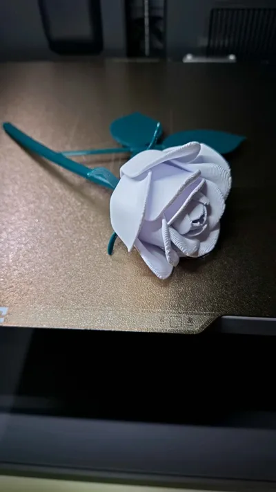 https://makerworld.bblmw.com/makerworld/comment/20260325/1570340920/c3a7de5dac0730c3.jpg