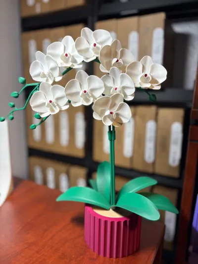 https://makerworld.bblmw.com/makerworld/comment/20260325/2004850733/192e8399edd1035b.jpg