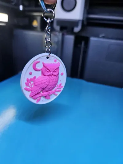 https://makerworld.bblmw.com/makerworld/comment/20260325/2107056867/724b20182b29f836.jpg