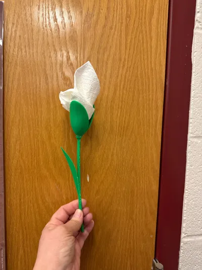 https://makerworld.bblmw.com/makerworld/comment/20260325/2143623662/c368c8ec6fccaa97.jpg