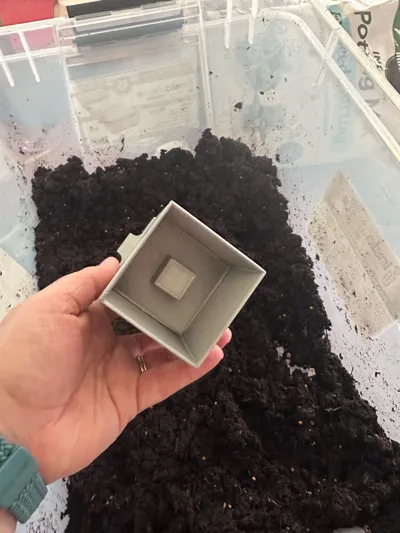 https://makerworld.bblmw.com/makerworld/comment/20260325/2267668514/6efa59da46054c8e.jpg
