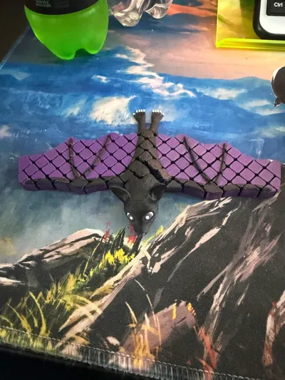 https://makerworld.bblmw.com/makerworld/comment/20260325/2778400451/13f0a5451b544029.jpg