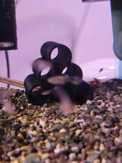 https://makerworld.bblmw.com/makerworld/comment/20260325/3015183205/aba6e4a384ae213c.jpg
